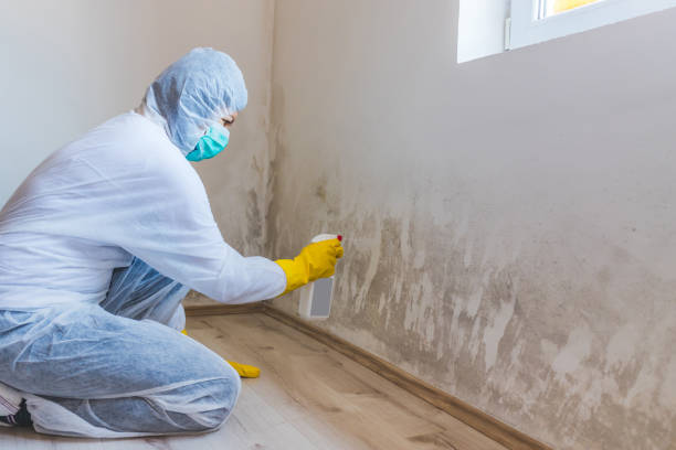 Licensed Bathroom Mold Removal service in Abingdon, IL - WQB Mold Removal