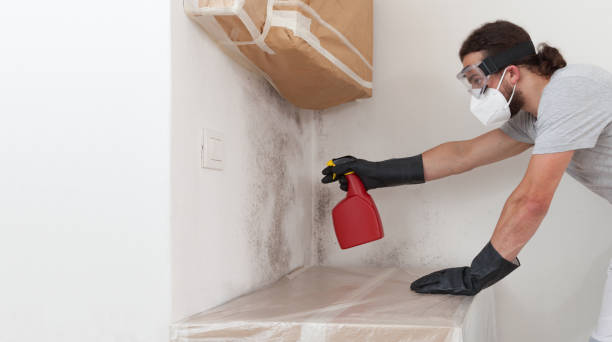 Professional Bathroom Mold Removal technician working in Abingdon, IL