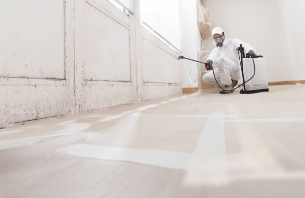 24/7 Emergency Bathroom Mold Removal experts in Abingdon, IL