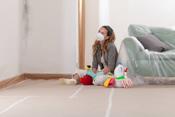 Reliable Bathroom Mold Removal contractor in Abingdon, IL by WQB Mold Removal