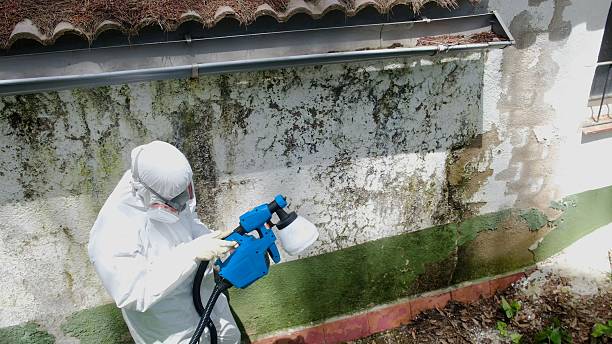 Top rated local Bathroom Mold Removal specialists in Abingdon, IL